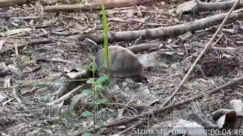 Booker Baxton online show from April 9, 3:06 am