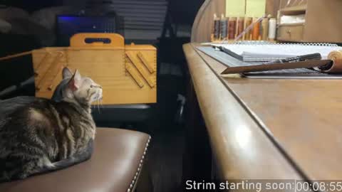 Snapshot of booker_baxton chatting on July 17, 3:02 am Booker Baxton online show from July 17, 3:02 am