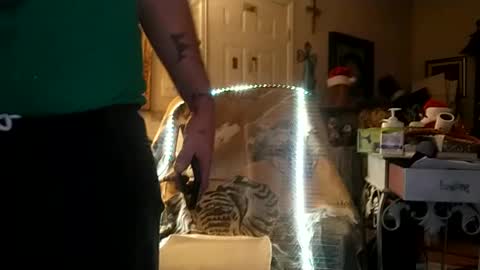 boredaf6678 online show from December 25, 9:34 am