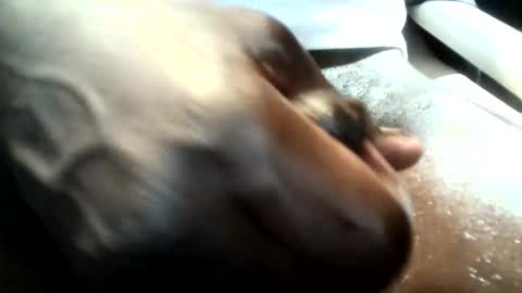 botofogo online show from January 19, 8:07 am