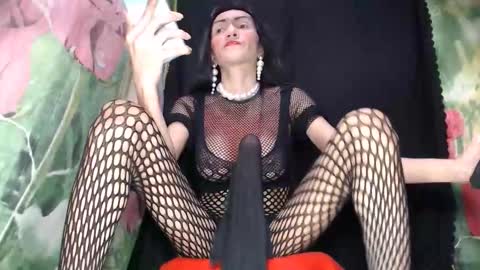 Snapshot of boucinghugehardcock chatting on October 2, 6:31 am A M A N D A  MONSTERCOCK online show from October 2, 6:31 am