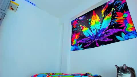 Edward ftm trans queerslave online show from February 3, 6:46 pm