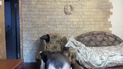 BoyApollon online show from December 24, 12:11 pm