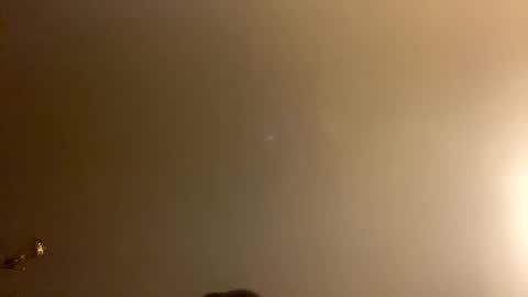 Snapshot of brain_ortega chatting on February 28, 1:01 pm Brain Ortega online show from February 28, 1:01 pm