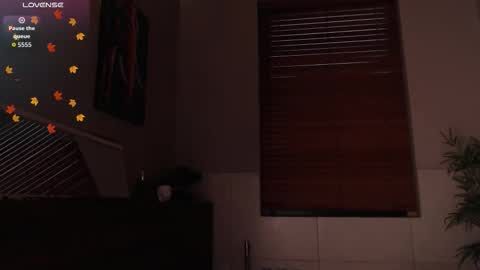 brandon_starkk online show from February 23, 11:51 am