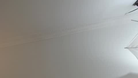 BrandonCole online show from February 10, 12:29 pm