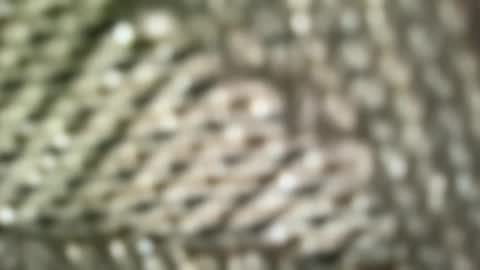 Snapshot of brandonconrad chatting on February 7, 6:44 pm brandonconrad online show from February 7, 6:44 pm