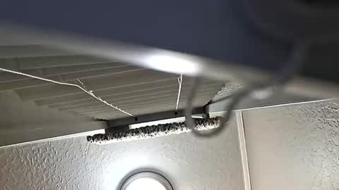 breeze316 online show from November 6, 11:11 am