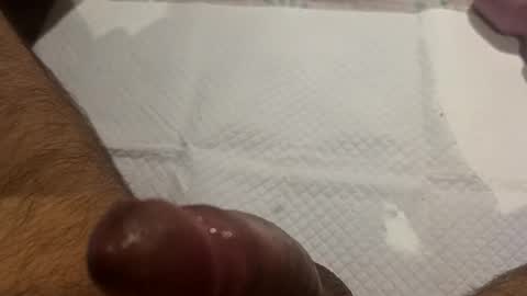 Snapshot of brenno95 chatting on February 21, 11:11 am brenno95 online show from February 21, 11:11 am