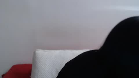 Briaa online show from November 4, 2:38 pm