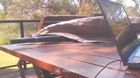 Fun Monster online show from October 10, 1:15 am