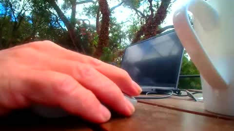 Snapshot of bridie3079 chatting on February 19, 1:01 am Fun Monster online show from February 19, 1:01 am