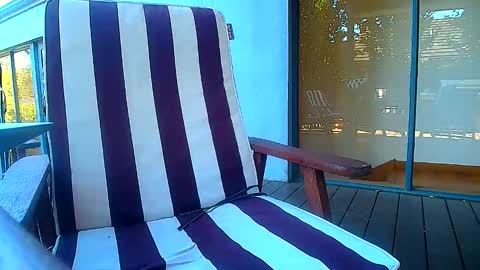 Snapshot of bridie3079 chatting on February 20, 6:19 am Fun Monster online show from February 20, 6:19 am