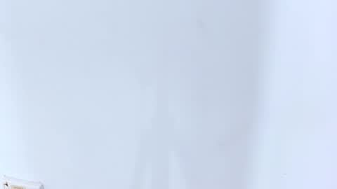 Brittany  online show from February 20, 2:18 am