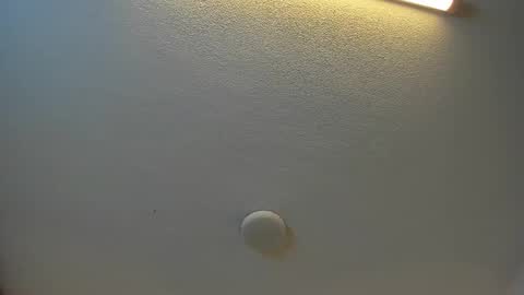 Brittany  online show from September 27, 7:30 pm