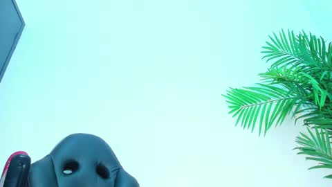 Snapshot of briyit_doll chatting on February 1, 6:32 am BRIYIT online show from February 1, 6:32 am