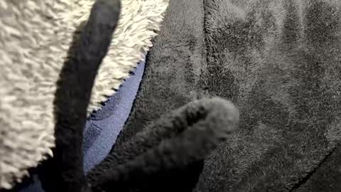 Snapshot of broken_lad chatting on January 12, 7:08 pm just a broken boy online show from January 12, 7:08 pm