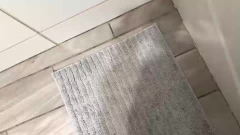 brownboyli online show from March 2, 3:09 am