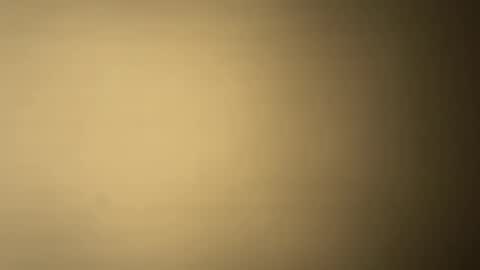 BRUCE online show from December 7, 1:25 am