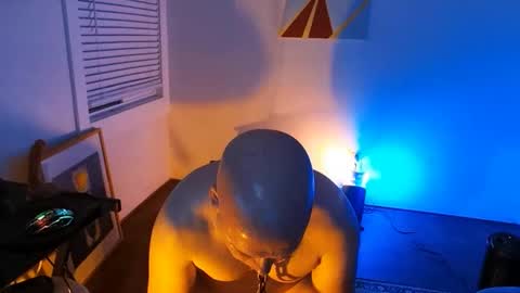 Snapshot of btmcub_sandiego chatting on February 5, 2:29 am bottom freak online show from February 5, 2:29 am