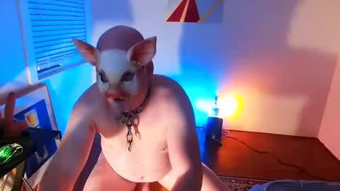 Snapshot of btmcub_sandiego chatting on February 8, 10:29 am bottom freak online show from February 8, 10:29 am