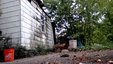 buddylovex online show from October 6, 10:18 pm