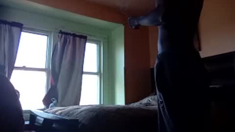 buddylovex online show from November 4, 4:39 pm