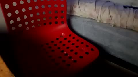 Snapshot of bullspain27266272 chatting on January 26, 4:41 am bullspain27266272 online show from January 26, 4:41 am