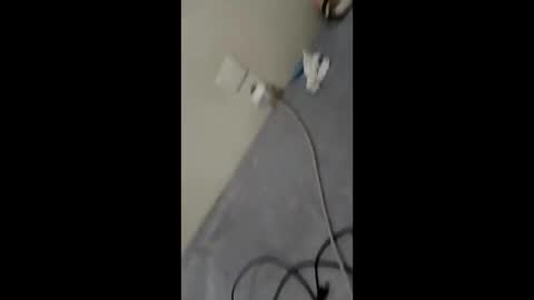 Snapshot of bullspain27266272 chatting on January 29, 3:01 am bullspain27266272 online show from January 29, 3:01 am