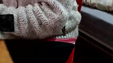 Snapshot of bullspain27266272 chatting on February 5, 10:22 pm bullspain27266272 online show from February 5, 10:22 pm