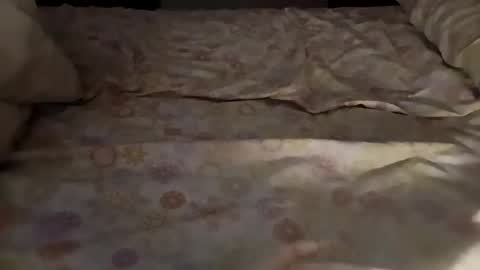 Snapshot of bullspain27266272 chatting on March 3, 4:47 am bullspain27266272 online show from March 3, 4:47 am