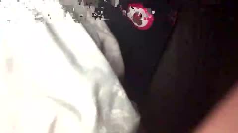 bungle online show from September 14, 2:44 am