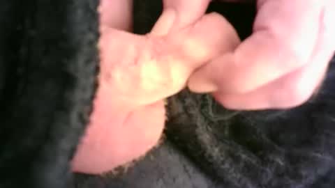 Hamish online show from November 23, 12:32 am