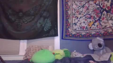 Snapshot of burnthemail chatting on February 2, 10:46 am lilly online show from February 2, 10:46 am