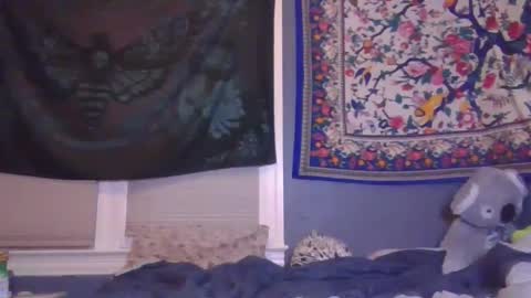 Snapshot of burnthemail chatting on February 6, 6:40 am lilly online show from February 6, 6:40 am