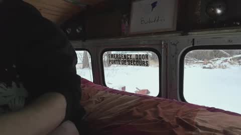 busbuddies online show from December 29, 4:19 pm