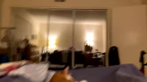 Snapshot of busty_2008 chatting on February 24, 3:04 am busty_2008 online show from February 24, 3:04 am