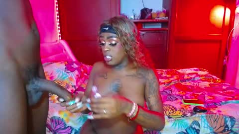 butterfly_rouse online show from January 9, 11:06 pm