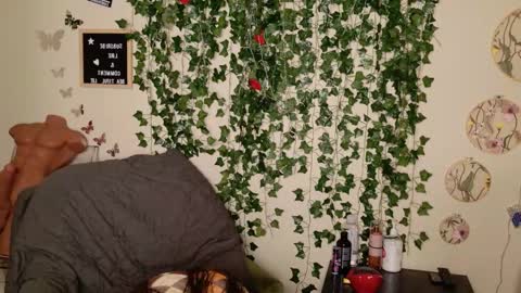 butterfly booty online show from November 3, 5:09 am