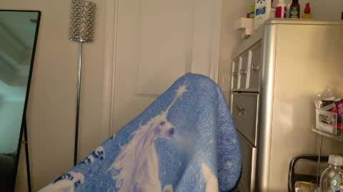 butterfly booty online show from March 30, 12:50 pm