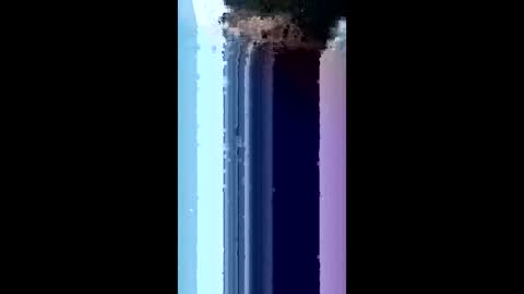 bydsknox online show from March 4, 2:06 am