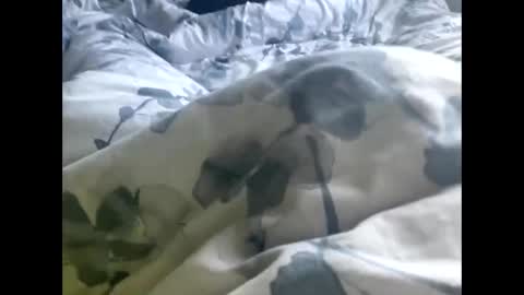 Snapshot of callmedaddyyouslut44 chatting on March 2, 11:50 am callmedaddyyouslut44 online show from March 2, 11:50 am