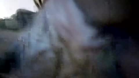 Snapshot of calvindadon chatting on August 9, 8:52 am Calvindadun online show from August 9, 8:52 am