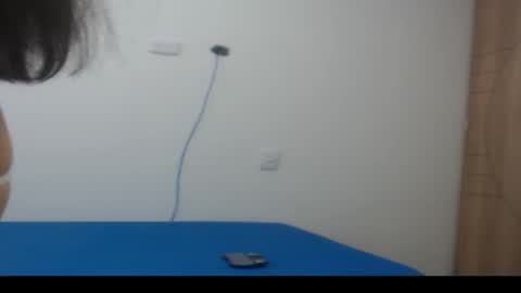 Snapshot of camila_rouswhyth chatting on November 4, 12:04 pm camila_rouswhyth online show from November 4, 12:04 pm