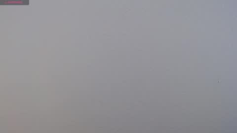 camila_torresss online show from December 1, 7:19 pm