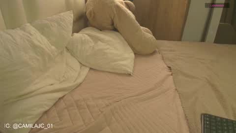 Snapshot of cammile_cole chatting on January 18, 1:26 pm Laura Camila online show from January 18, 1:26 pm