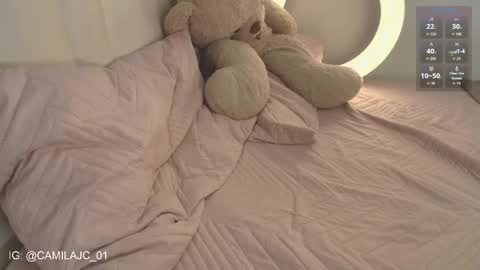 Snapshot of cammile_cole chatting on February 10, 4:33 pm Laura Camila online show from February 10, 4:33 pm