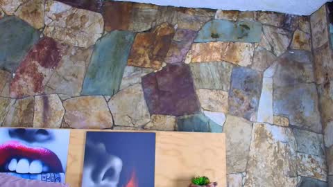 Jolie online show from January 15, 8:45 pm