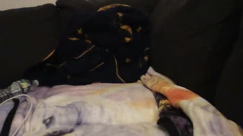     online show from September 14, 2:22 am