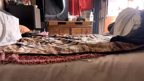 Bbc always ready balls insta bmac capone online show from November 28, 8:11 pm